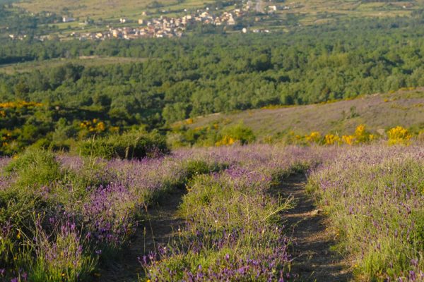10 pueblos más bonitos de la sierra norte de madrid localizaciones para rodajes