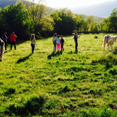 Fondo-Actividades-El-Capriolo actividades rurales, con animales cerca de madrid