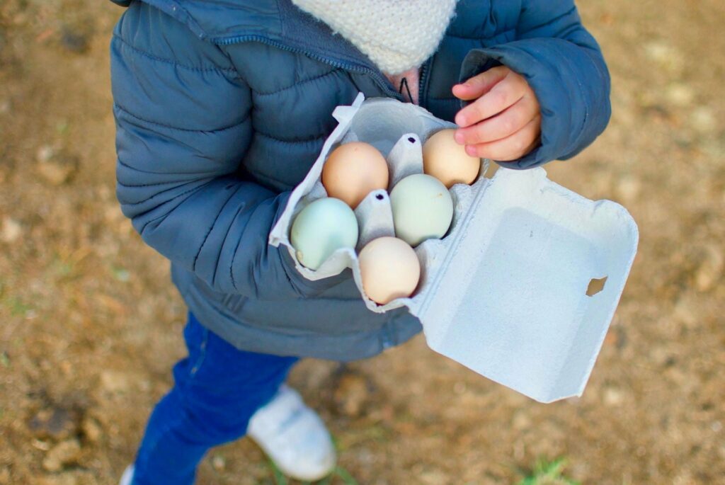 Huevos-Alojamientos-El-Capriolo