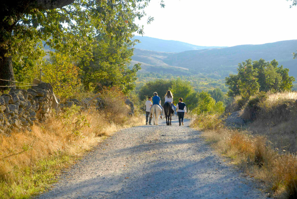 Paseo en burro en Madrid