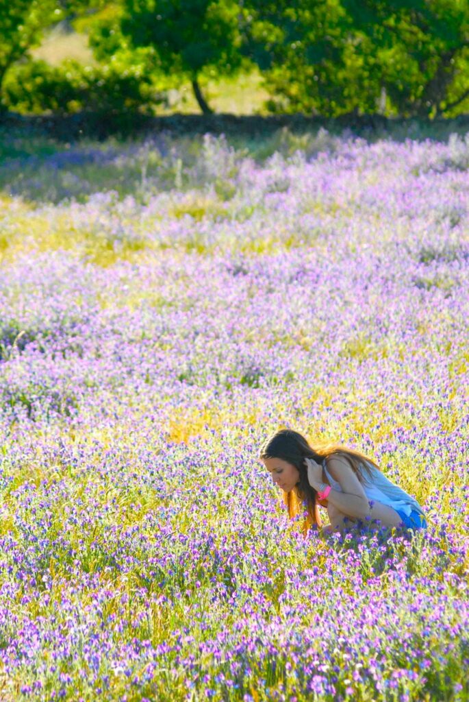 Talleres-por-temporada-primavera