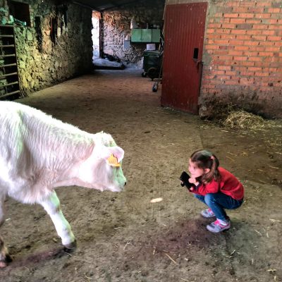 viajar con niños casa rural con animales