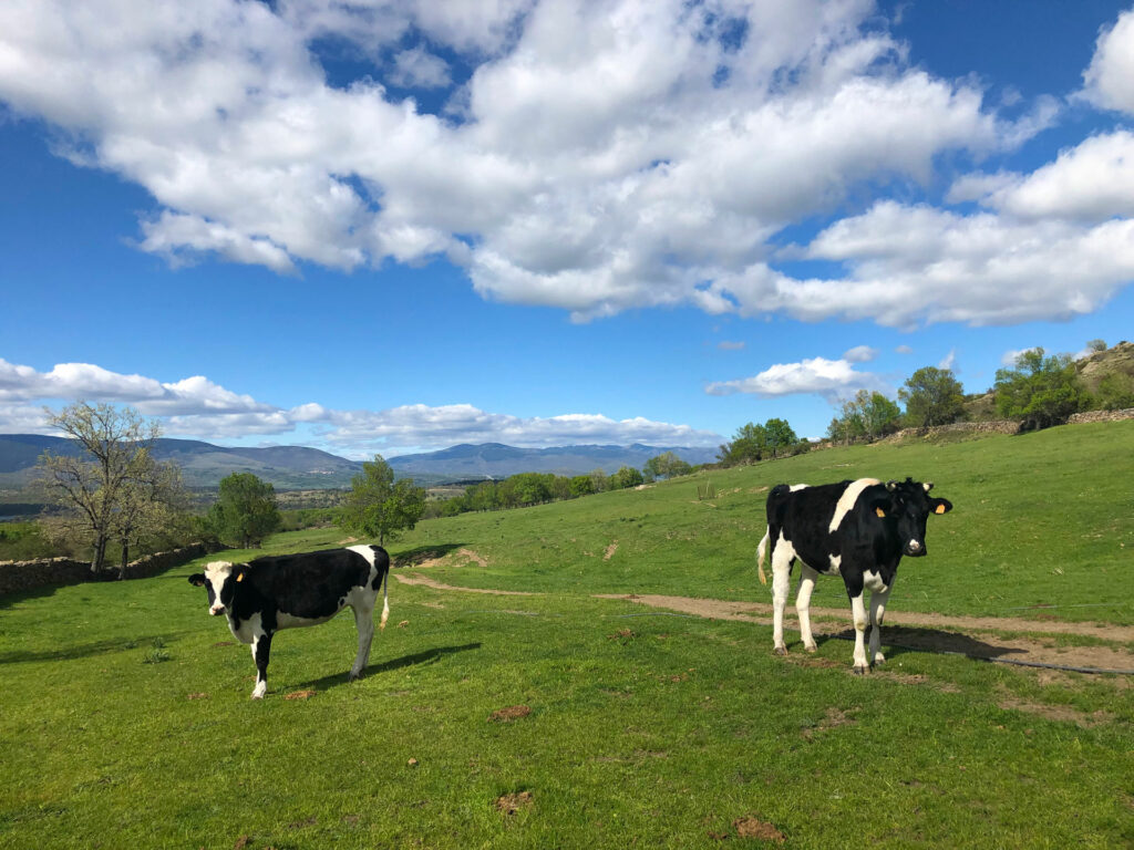 Agroturismo, mejor que una casa rural con granja Agroturismo, mejor que una casa rural con granja
