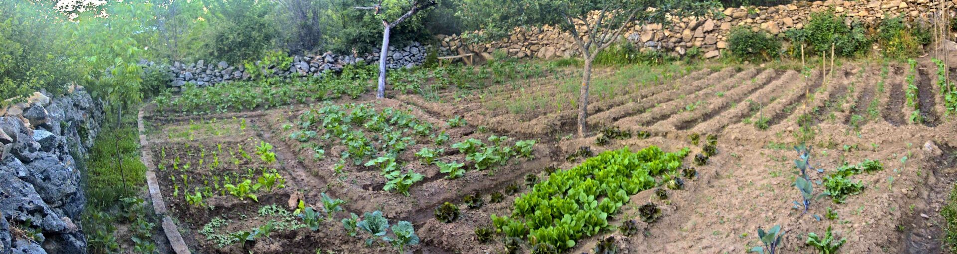 huerto agricultura ecológica