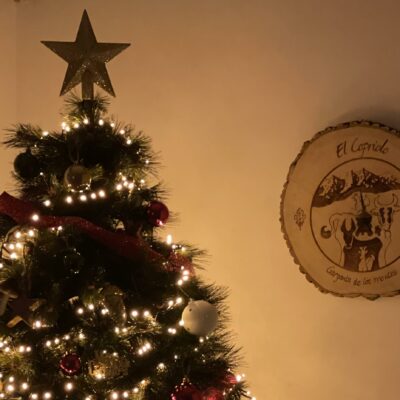 taller-de-reciclaje-rustico-navideño