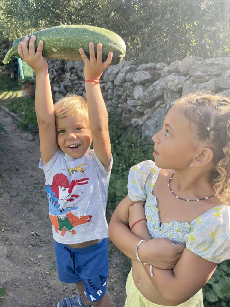 agricultura-ecologica-el-capriolo-calabacin
