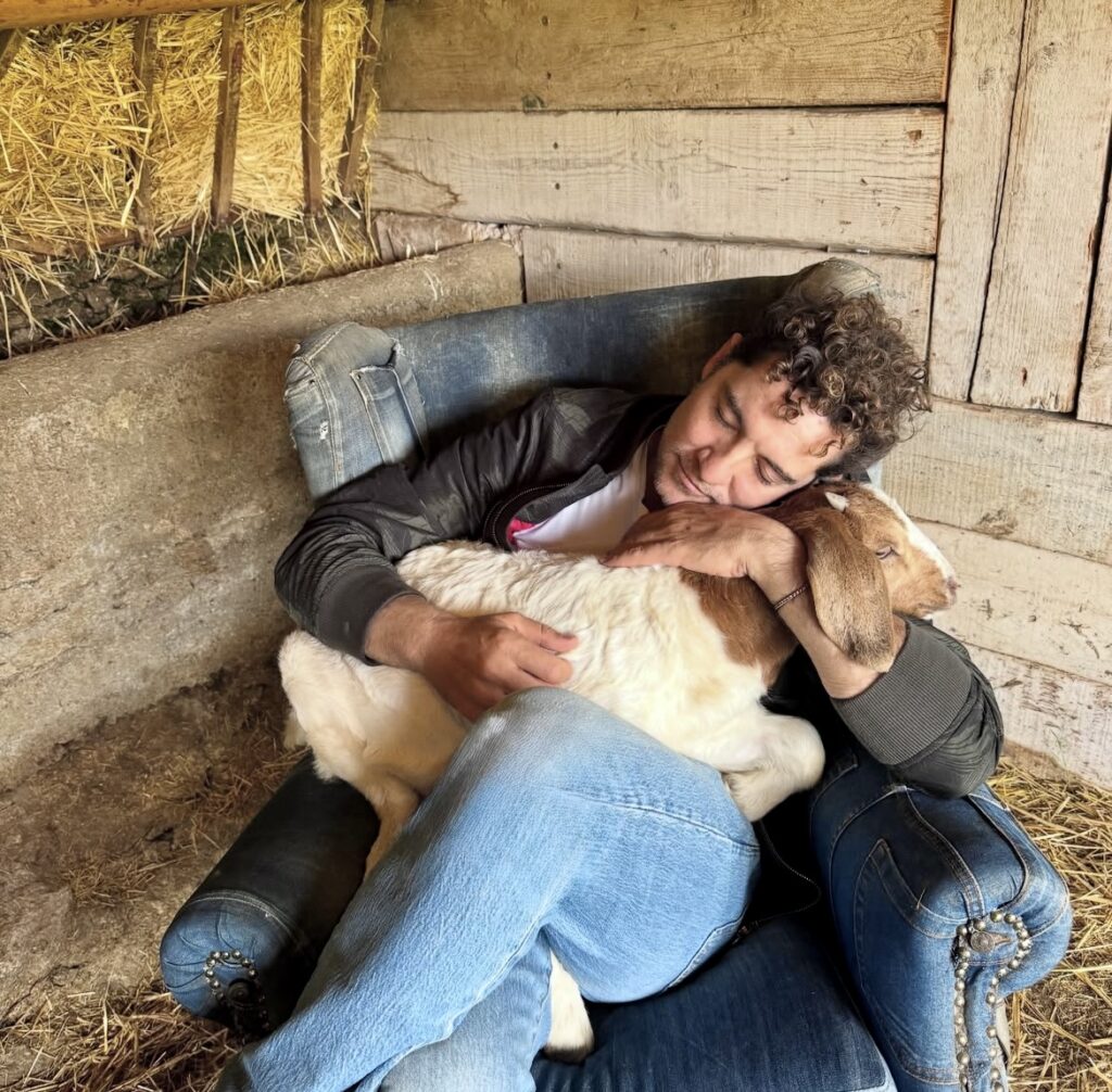 david-bisbal-el-capriolo