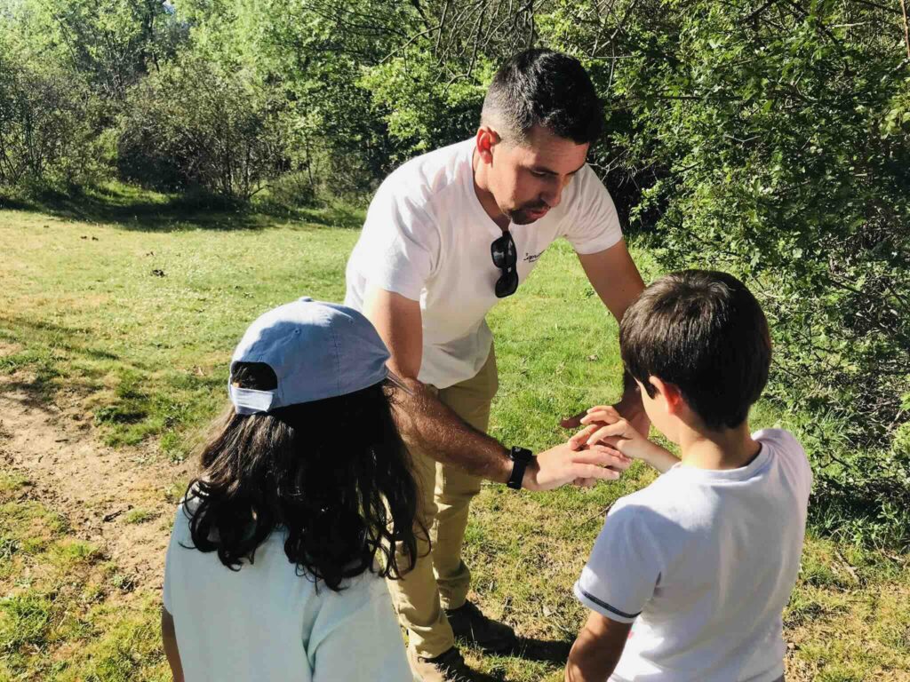 46785777-f3d5-4214-b3cc-3584ea28dafd