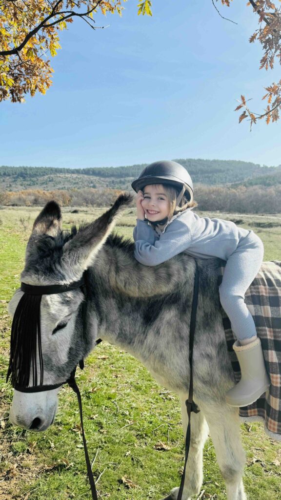 85926645-d3b2-455c-80e8-dc87cba32962