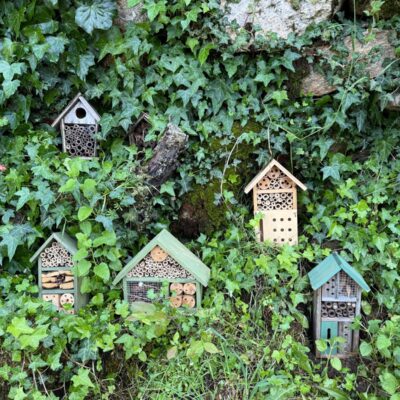 casas-de-insectos-el-capriolo